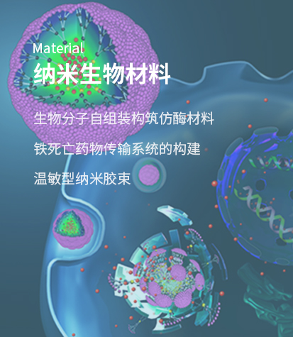 �{���������