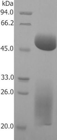 圖片29.jpg 圖片29.jpg